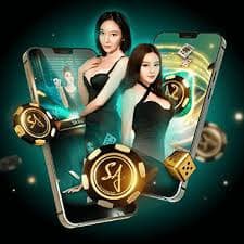 qq88c